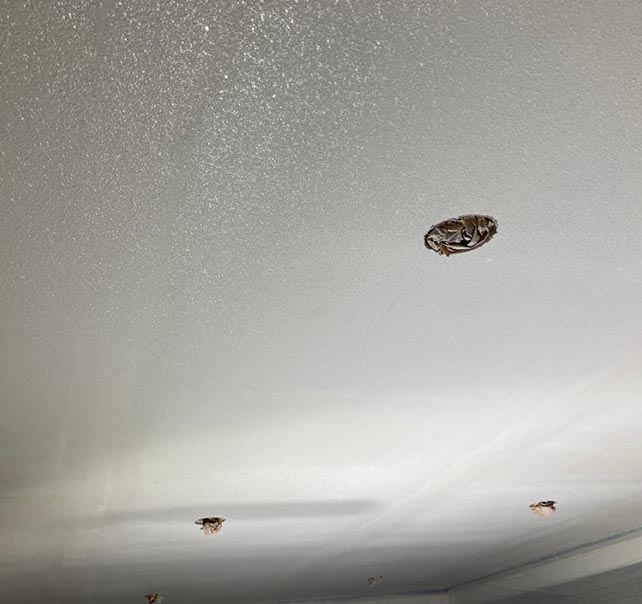 sr-projects_0047_IMG-20230822-WA0076