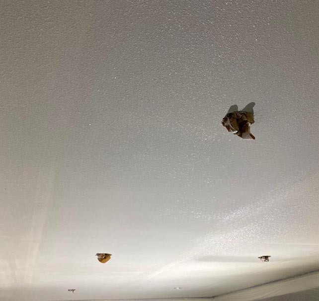 sr-projects_0048_IMG-20230822-WA0075